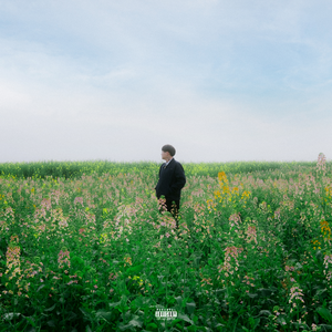 双阳丁丁免费看
