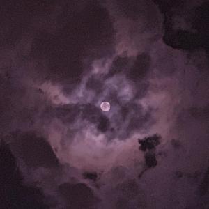 双阳丁丁免费看
