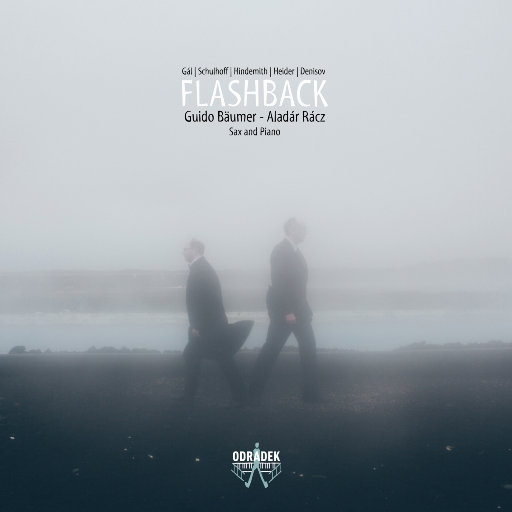 双阳丁丁免费看
